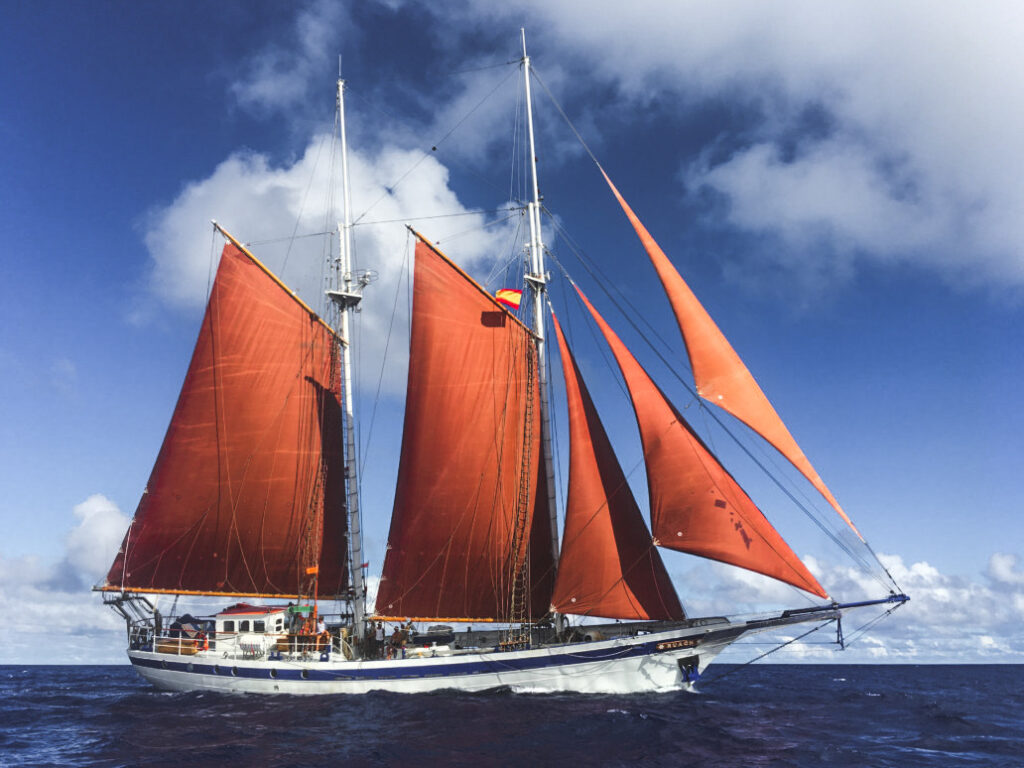 ywam-ships-newcastle-ruach-full-sail-uai-1032×774